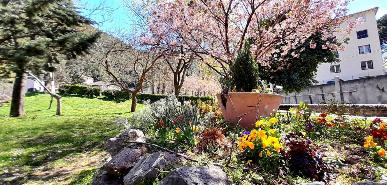 T2 Tout Confort Amelie-les-Bains-Palalda Exterior photo