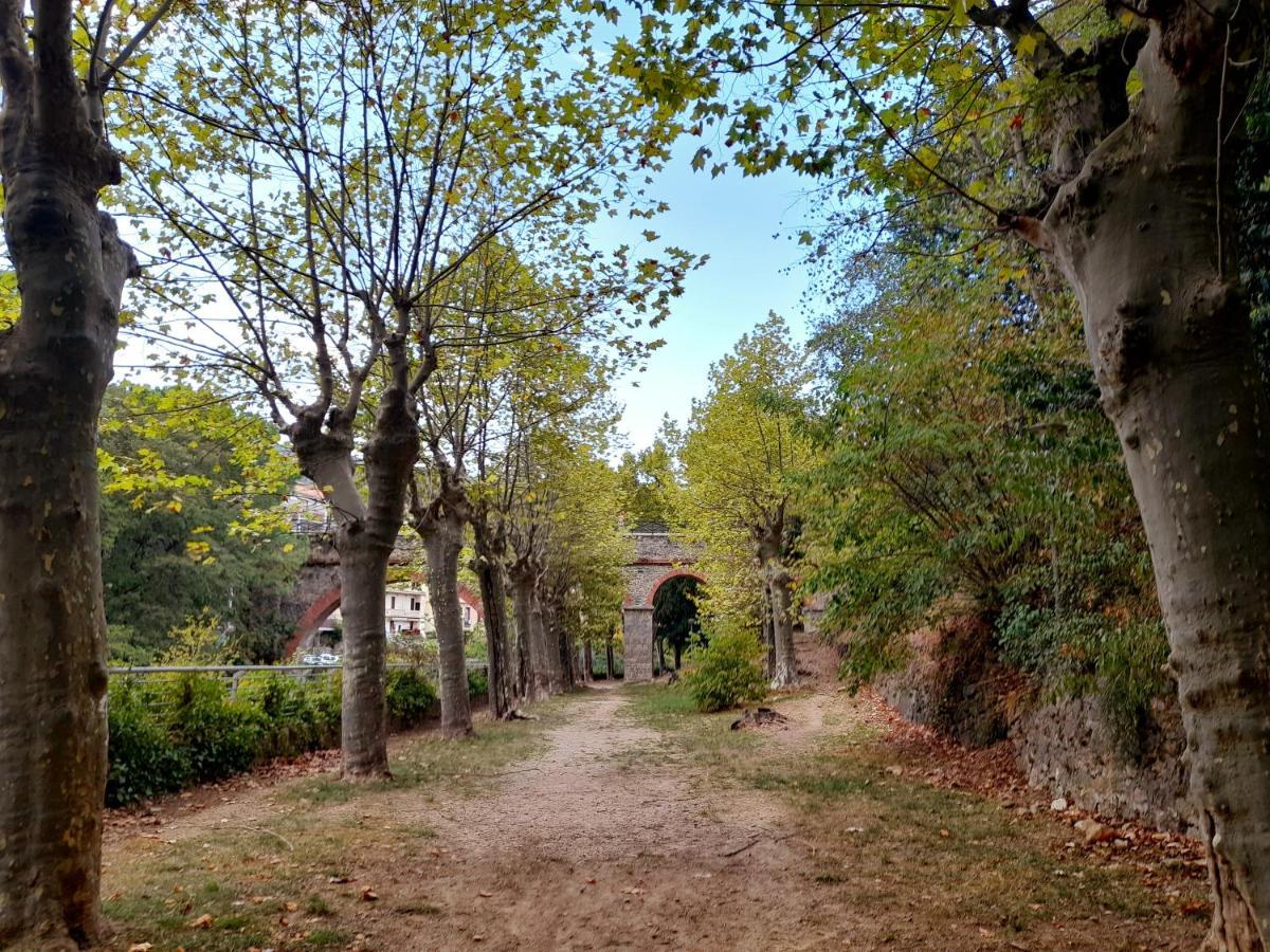 T2 Tout Confort Amelie-les-Bains-Palalda Exterior photo